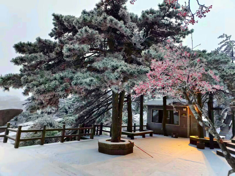 微信图片_20221130094850.jpg
